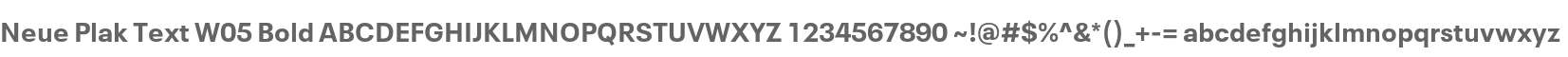 Neue Plak Text W05 Bold