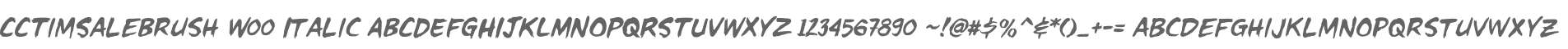 CCTimSaleBrush W00 Italic