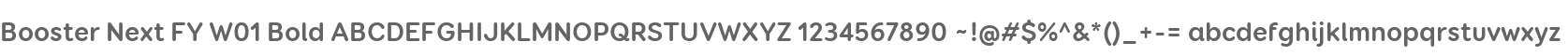 Booster Next FY W01 Bold