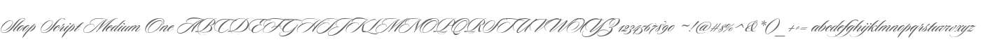 Sloop Script Medium One