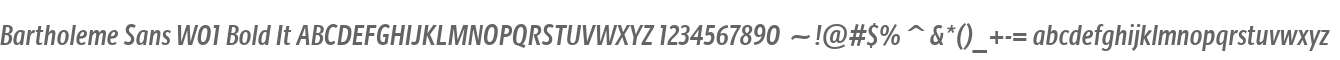 Bartholeme Sans W01 Bold It