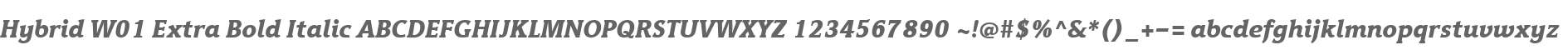 Hybrid W01 Extra Bold Italic