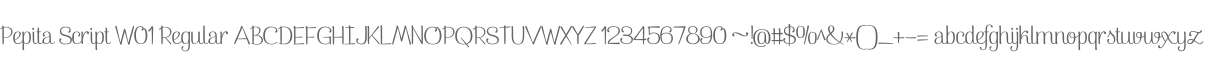 Pepita Script W01 Regular
