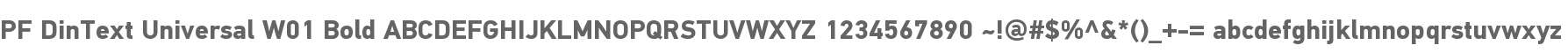 PF DinText Universal W01 Bold