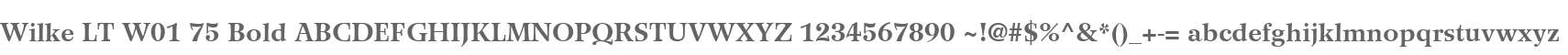 Wilke LT W01 75 Bold