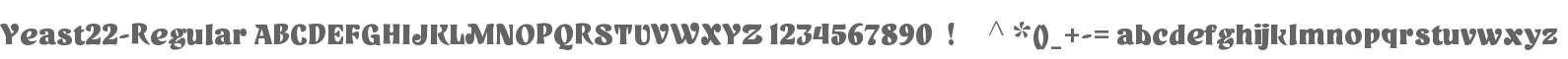 Yeast 22