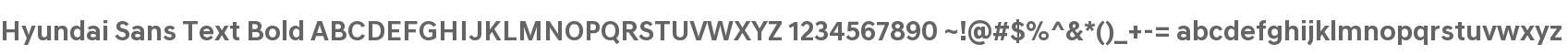 Hyundai Sans Text Bold