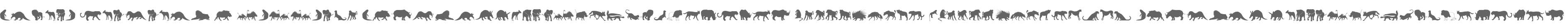 Afrika Wildlife B Mammals2