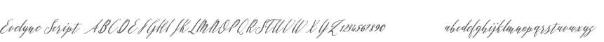 Evelyne Script