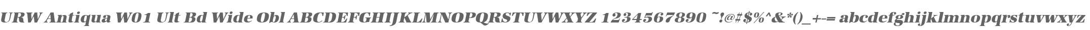 URW Antiqua W01 Ult Bd Wide Obl