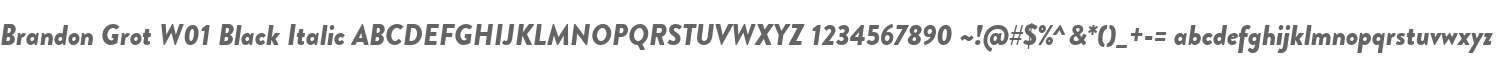 Brandon Grot W01 Black Italic