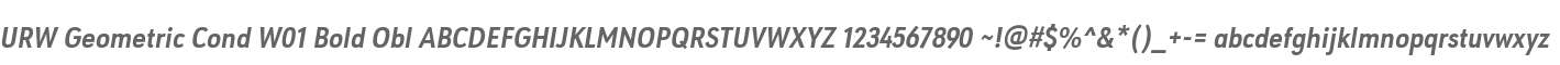 URW Geometric Cond W01 Bold Obl