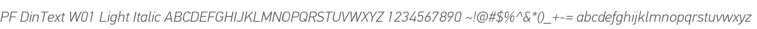PF DinText W01 Light Italic