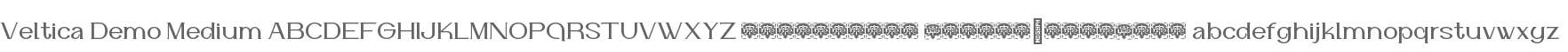 Veltica Demo Medium