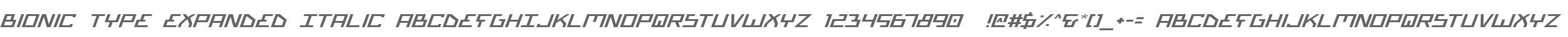 Bionic Type Expanded Italic