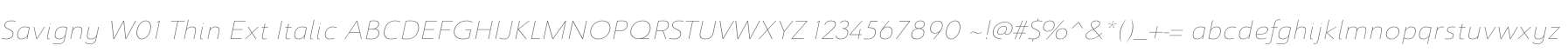 Savigny W01 Thin Ext Italic