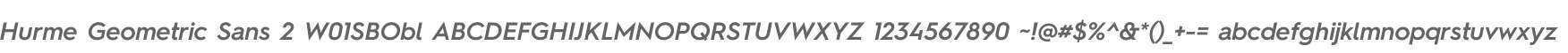 Hurme Geometric Sans 2 W01SBObl