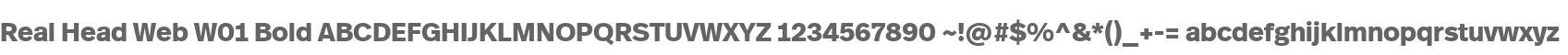 Real Head Web W01 Bold