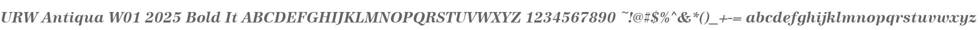 URW Antiqua W01 2025 Bold It