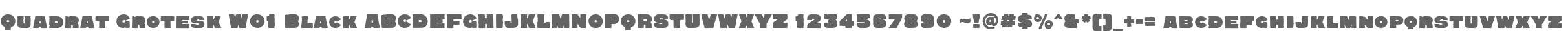 Quadrat Grotesk W01 Black