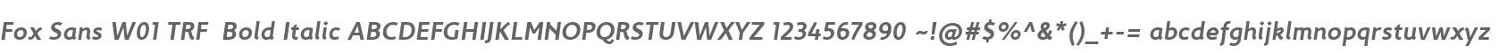 Fox Sans W01 TRF  Bold Italic