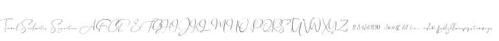 Travel Soulmates Signature