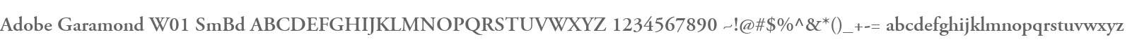 Adobe Garamond W01 SmBd