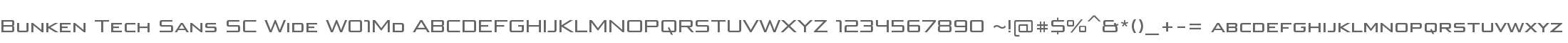 Bunken Tech Sans SC Wide W01Md