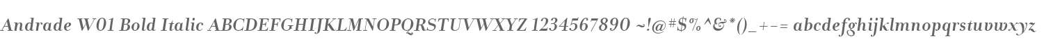 Andrade W01 Bold Italic
