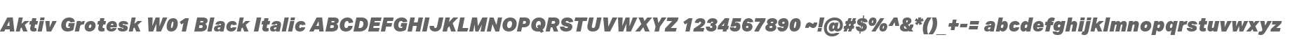 Aktiv Grotesk W01 Black Italic