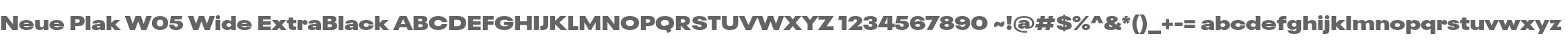 Neue Plak W05 Wide ExtraBlack