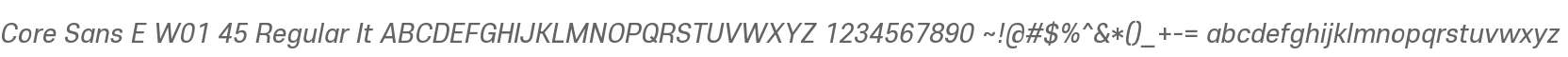 Core Sans E W01 45 Regular It
