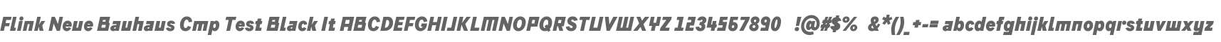 Flink Neue Bauhaus Cmp Test Black