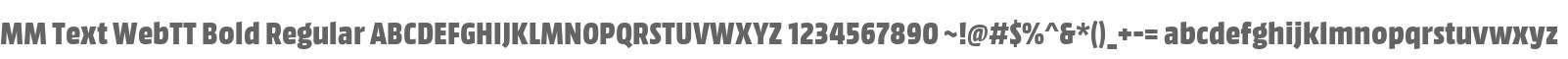 MM Text WebTT Bold Regular