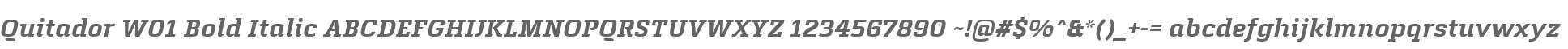 Quitador W01 Bold Italic
