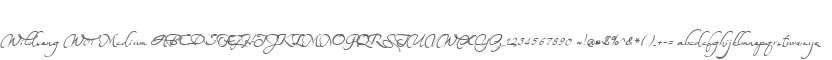 Wildsong W01 Medium