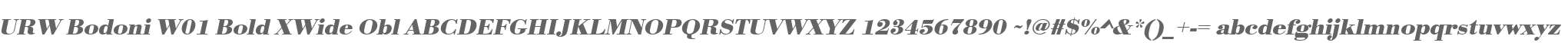 URW Bodoni W01 Bold XWide Obl