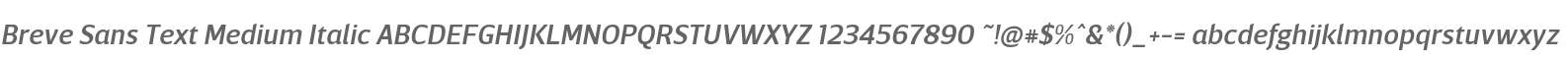 BreveSansText-MediumItalic