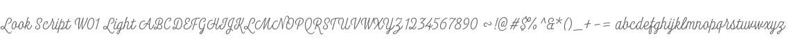 Look Script W01 Light
