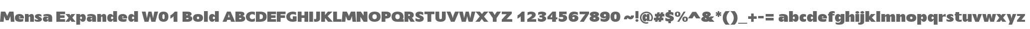 Mensa Expanded W01 Bold