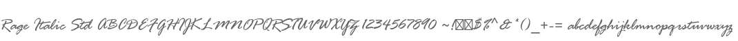 Rage Italic Std