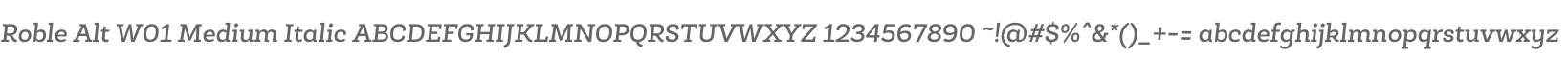 Roble Alt W01 Medium Italic