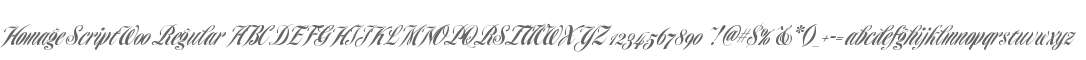 Homage Script W00 Regular