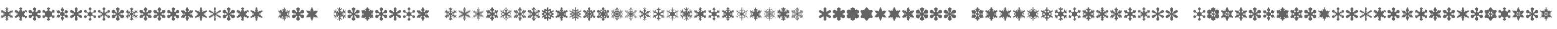 SnowflakeAssortment W95 Regular