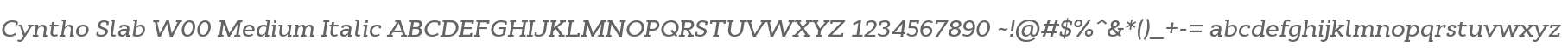 Cyntho Slab W00 Medium Italic