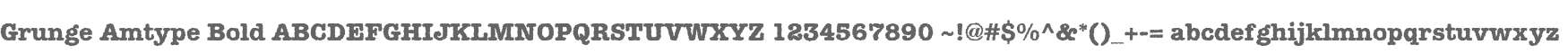 Grunge Amtype Bold