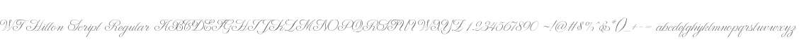 WT Hilton Script Regular