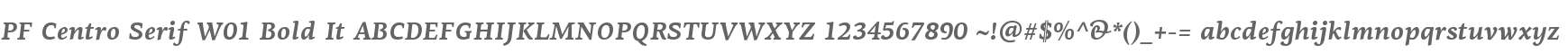 PF Centro Serif W01 Bold It