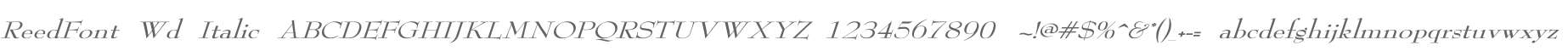 ReedFont Wd Italic