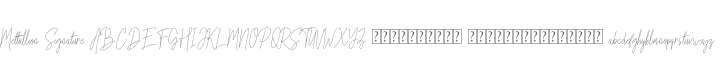Mettallion Signature